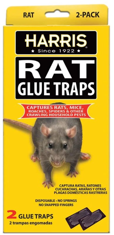 Harris Glue Trap w / Lure (2pk)